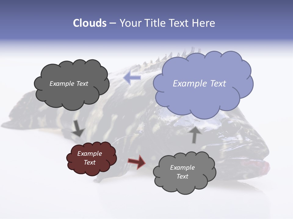 Sale Sell Gill PowerPoint Template