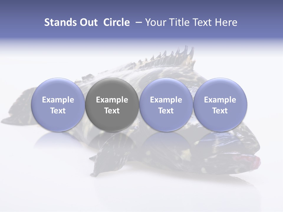 Sale Sell Gill PowerPoint Template