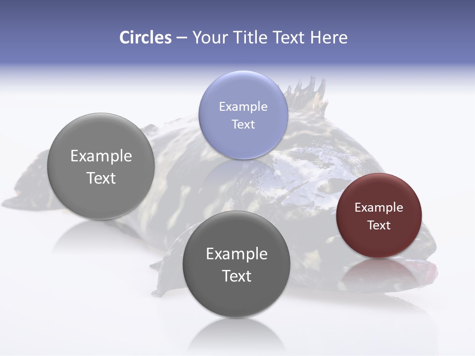 Sale Sell Gill PowerPoint Template