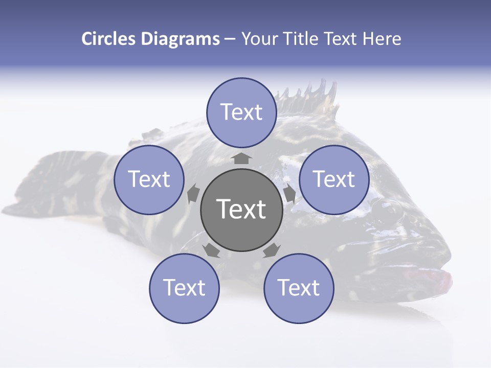 Sale Sell Gill PowerPoint Template