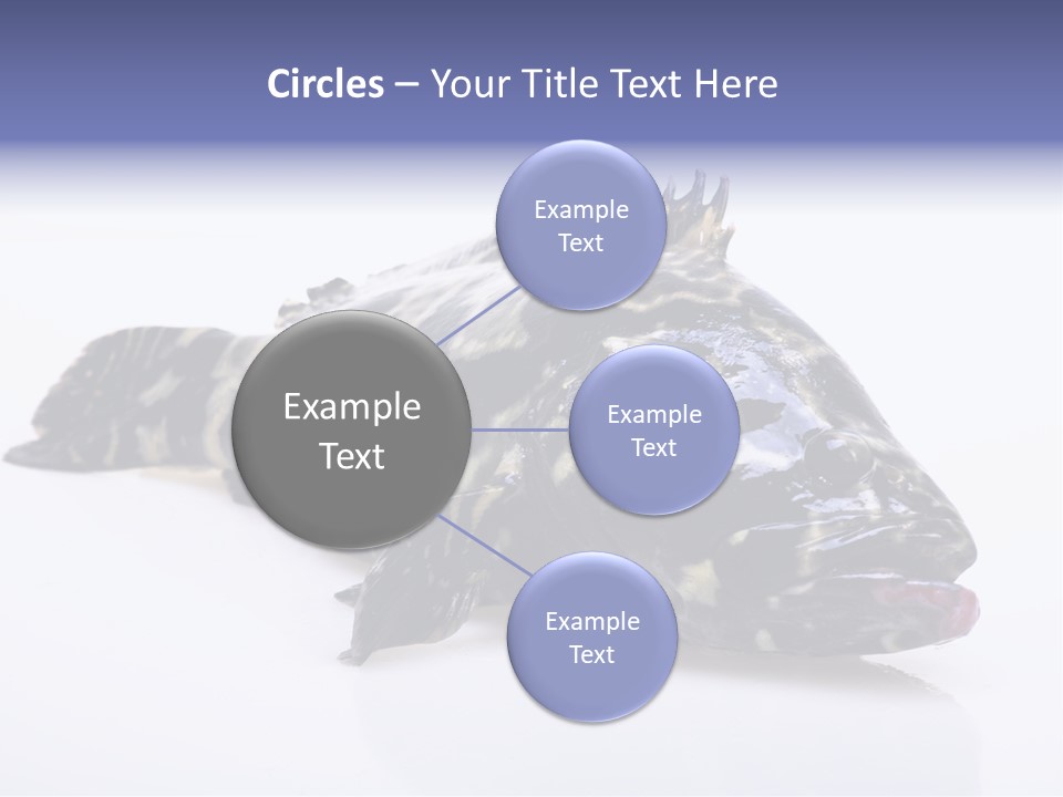 Sale Sell Gill PowerPoint Template