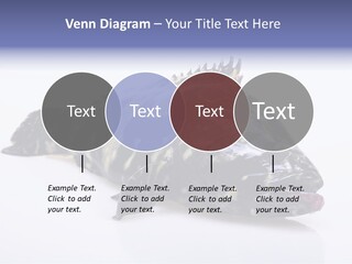 Sale Sell Gill PowerPoint Template