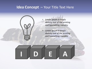 Sale Sell Gill PowerPoint Template
