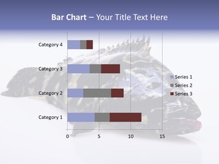 Sale Sell Gill PowerPoint Template