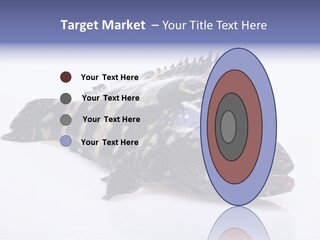 Sale Sell Gill PowerPoint Template