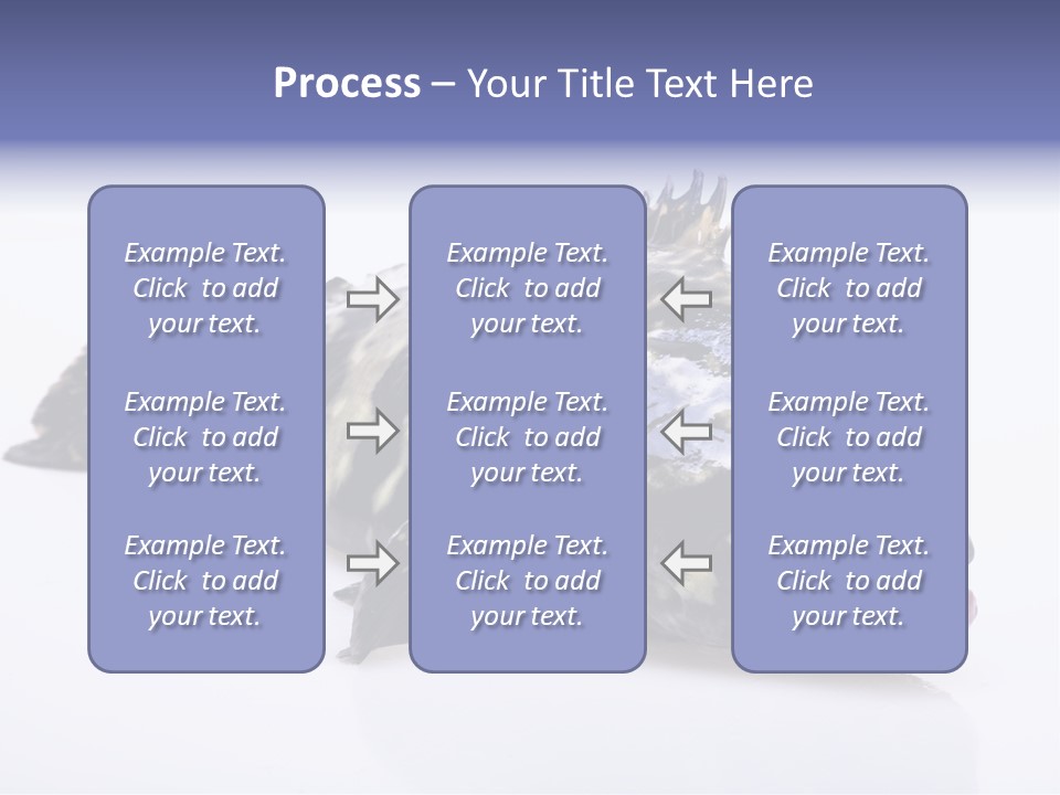 Sale Sell Gill PowerPoint Template