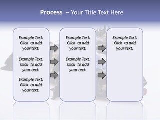 Sale Sell Gill PowerPoint Template