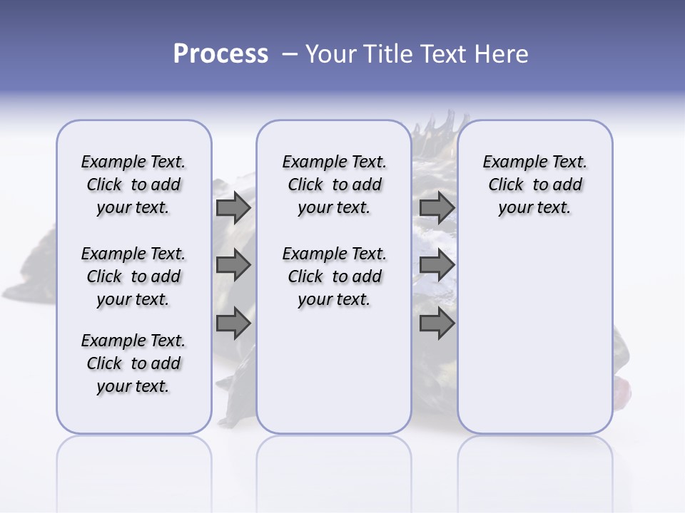 Sale Sell Gill PowerPoint Template