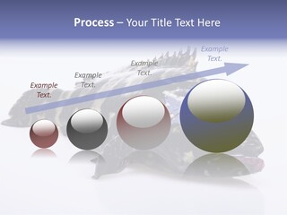 Sale Sell Gill PowerPoint Template