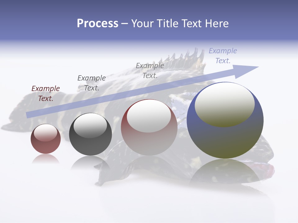 Sale Sell Gill PowerPoint Template