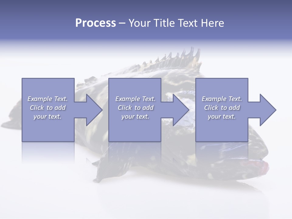 Sale Sell Gill PowerPoint Template