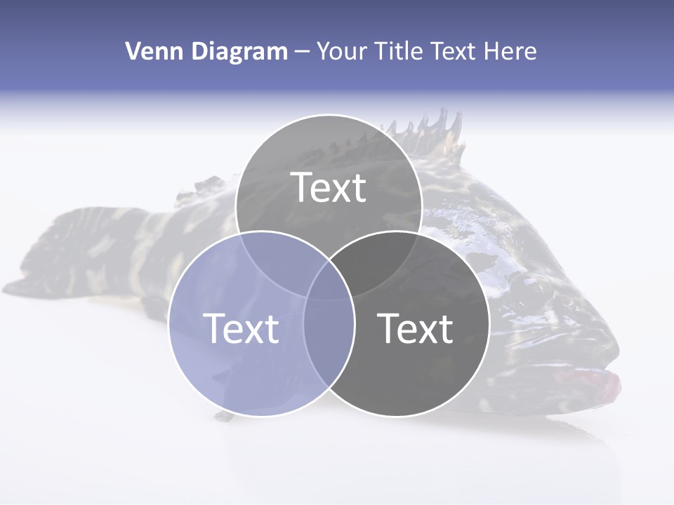 Sale Sell Gill PowerPoint Template