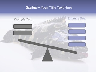 Sale Sell Gill PowerPoint Template