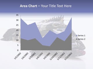 Sale Sell Gill PowerPoint Template
