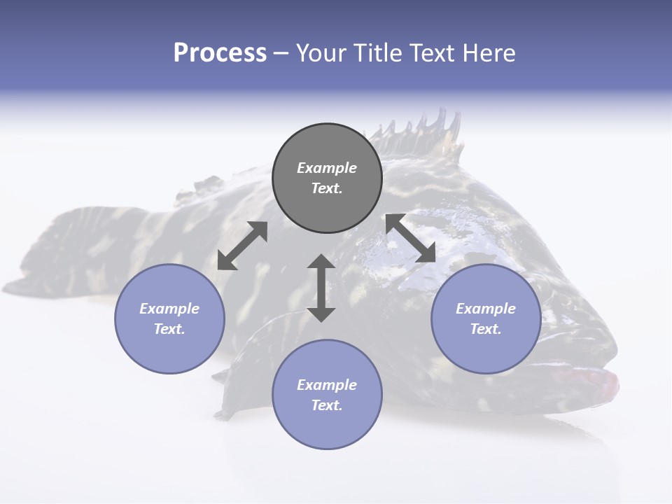 Sale Sell Gill PowerPoint Template