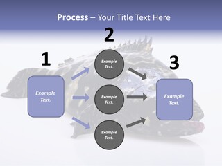 Sale Sell Gill PowerPoint Template