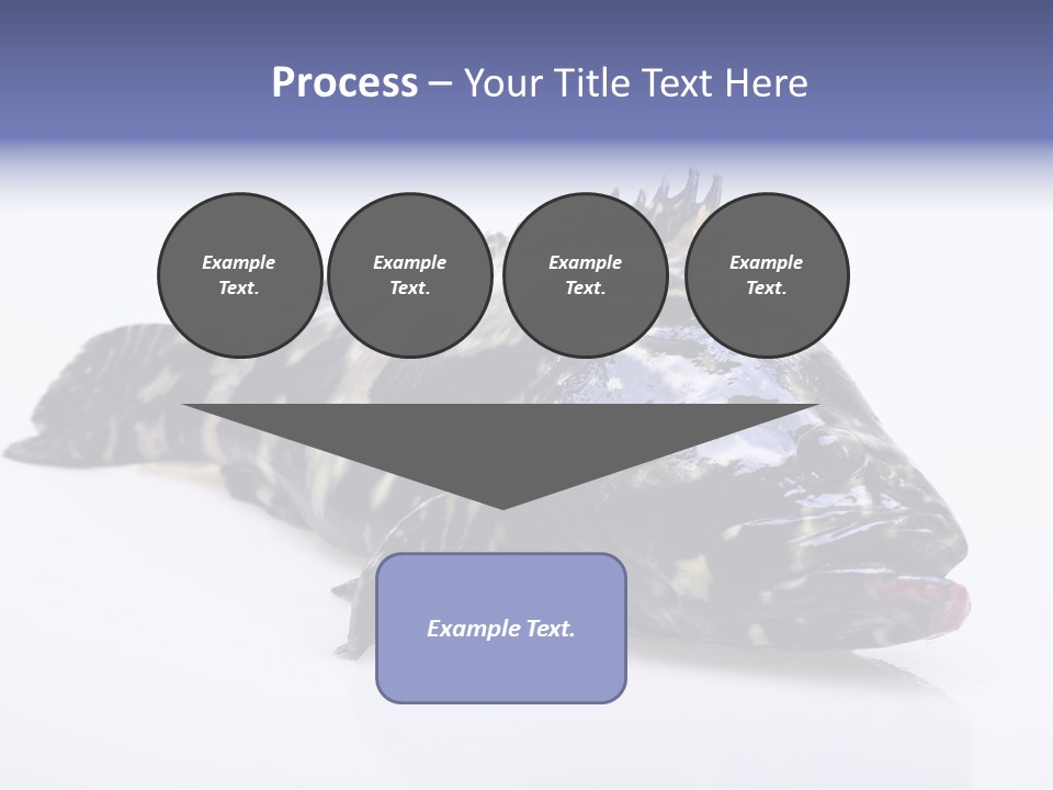 Sale Sell Gill PowerPoint Template
