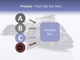 Sale Sell Gill PowerPoint Template