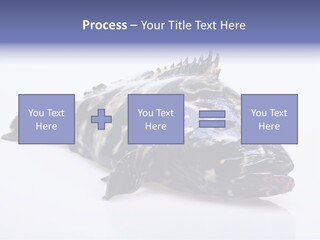 Sale Sell Gill PowerPoint Template
