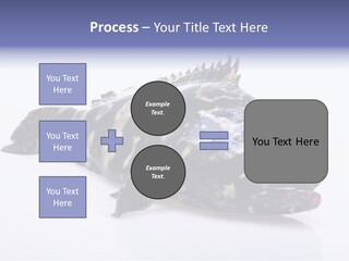 Sale Sell Gill PowerPoint Template