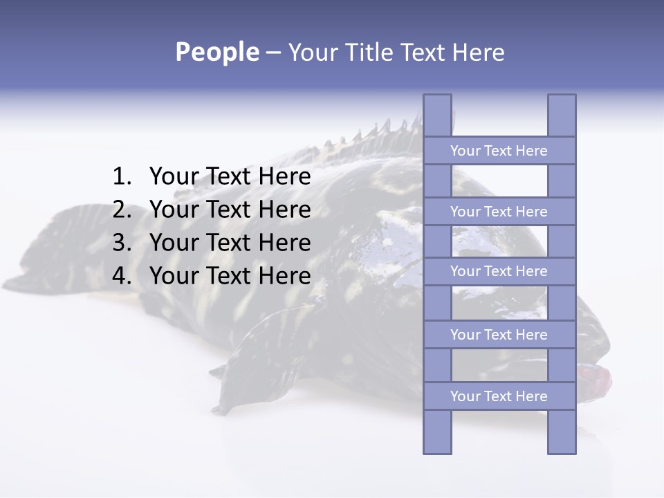 Sale Sell Gill PowerPoint Template