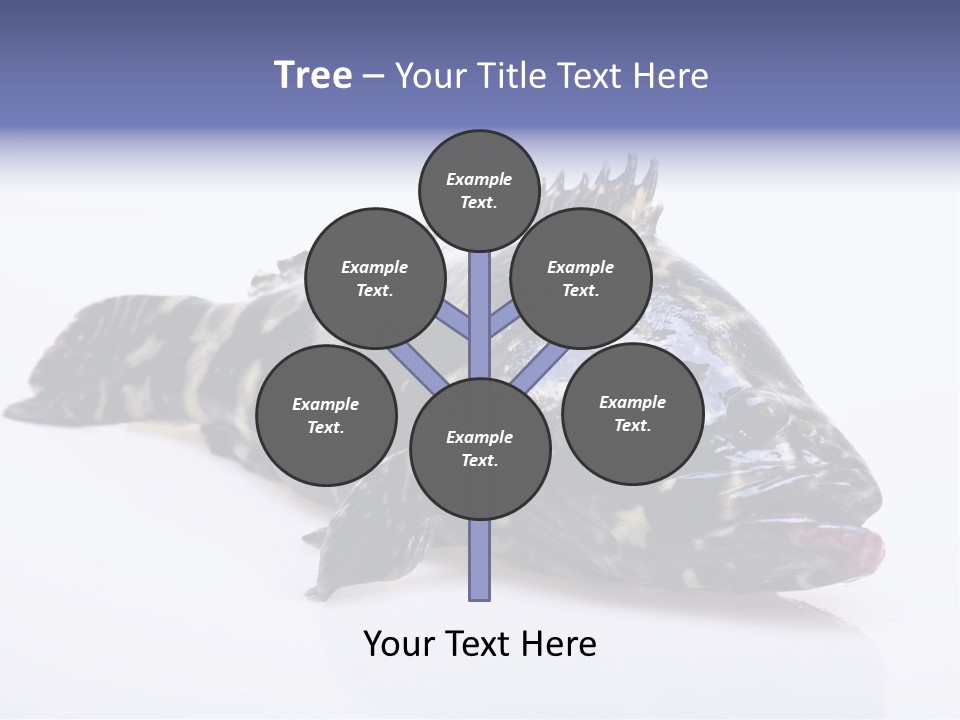 Sale Sell Gill PowerPoint Template
