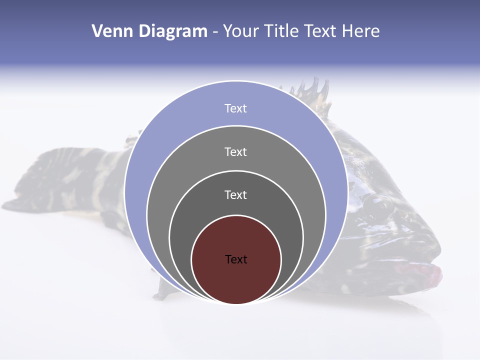 Sale Sell Gill PowerPoint Template