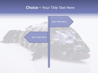 Sale Sell Gill PowerPoint Template