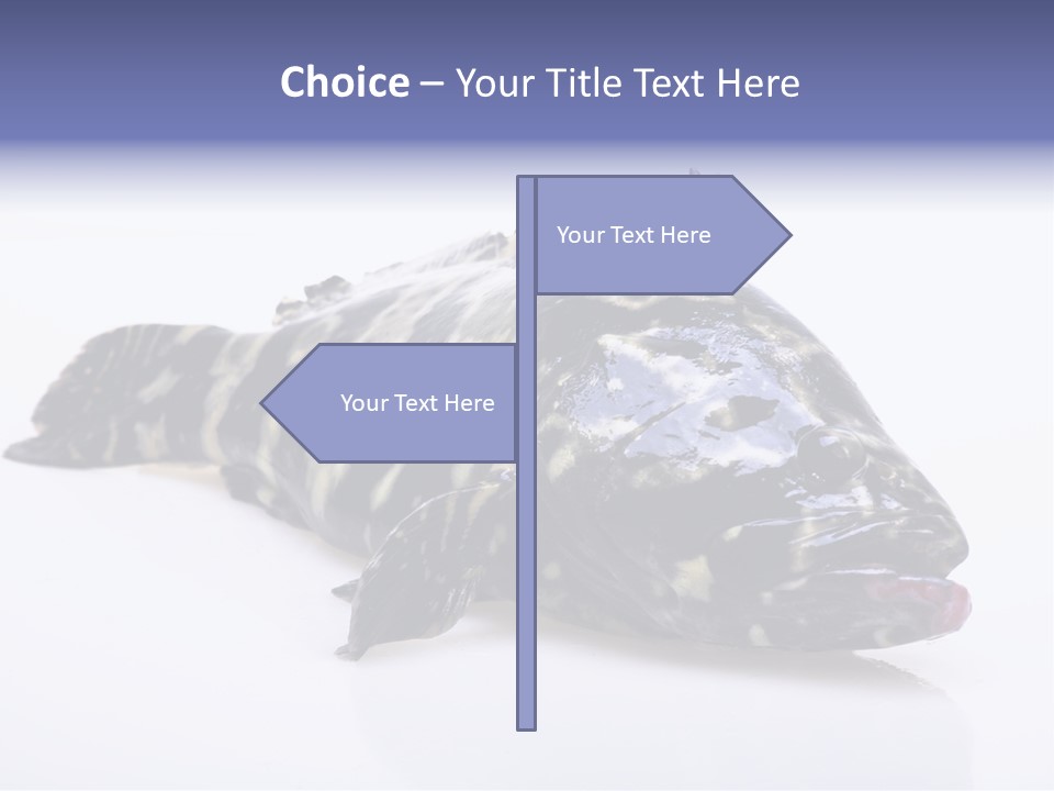 Sale Sell Gill PowerPoint Template