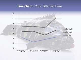 Sale Sell Gill PowerPoint Template