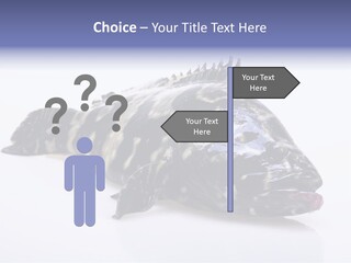 Sale Sell Gill PowerPoint Template