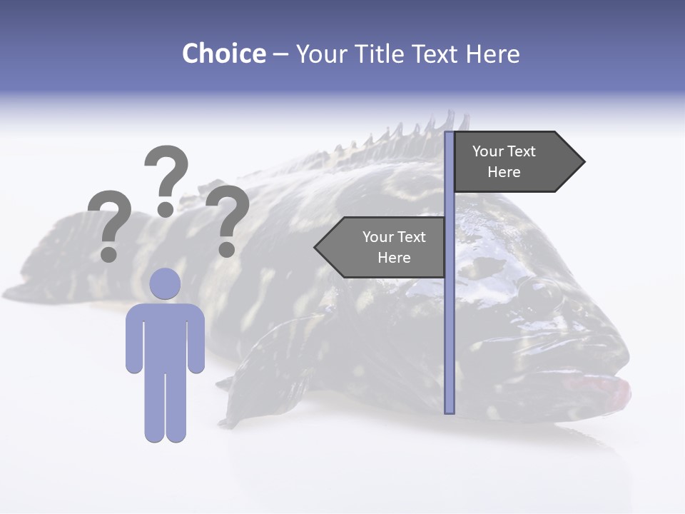 Sale Sell Gill PowerPoint Template