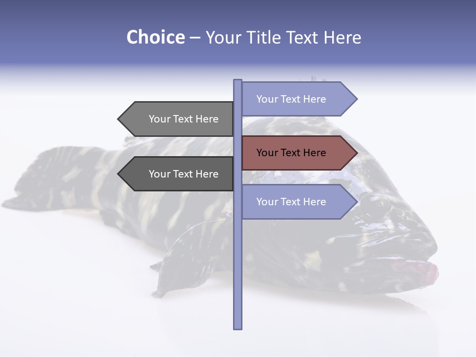 Sale Sell Gill PowerPoint Template