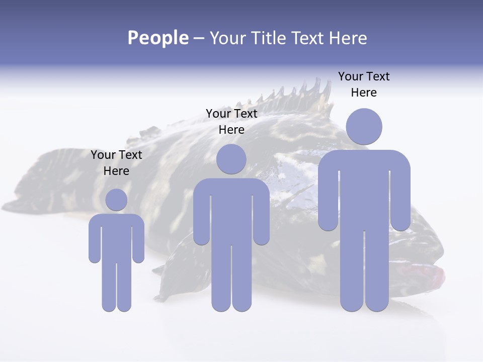 Sale Sell Gill PowerPoint Template