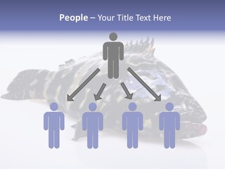 Sale Sell Gill PowerPoint Template
