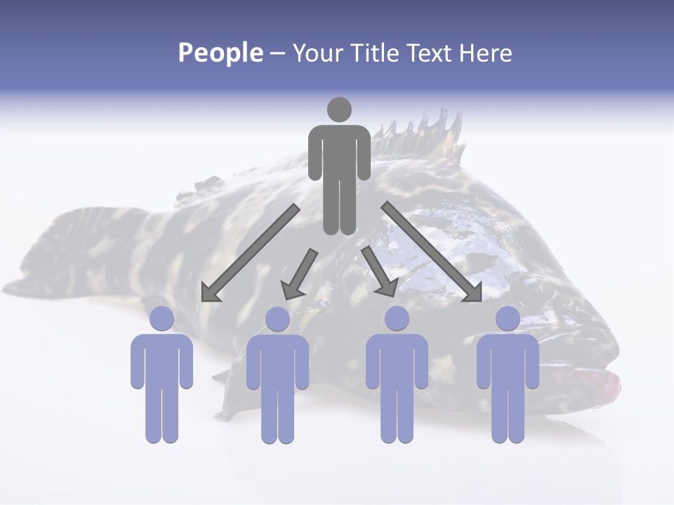 Sale Sell Gill PowerPoint Template
