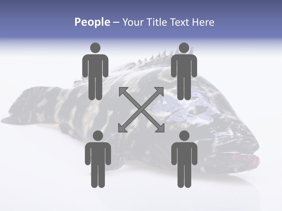 Sale Sell Gill PowerPoint Template