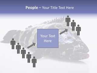 Sale Sell Gill PowerPoint Template
