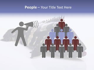 Sale Sell Gill PowerPoint Template