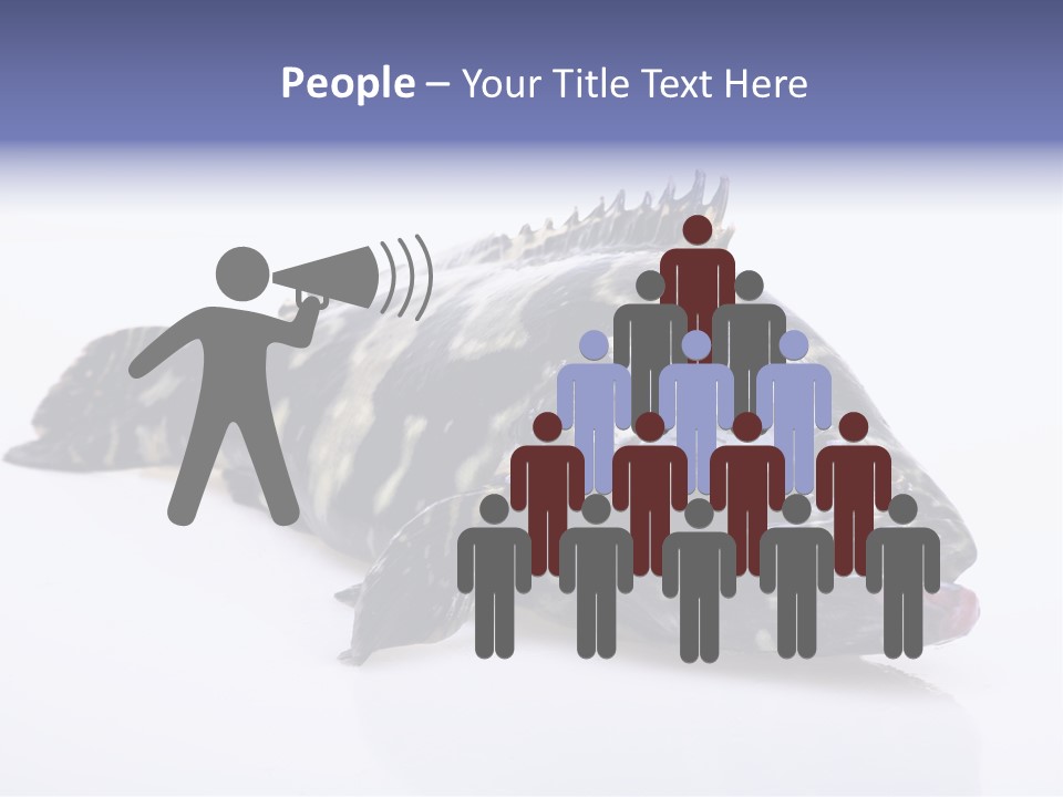 Sale Sell Gill PowerPoint Template