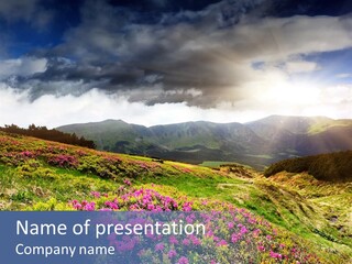 Ecology Light Morning PowerPoint Template