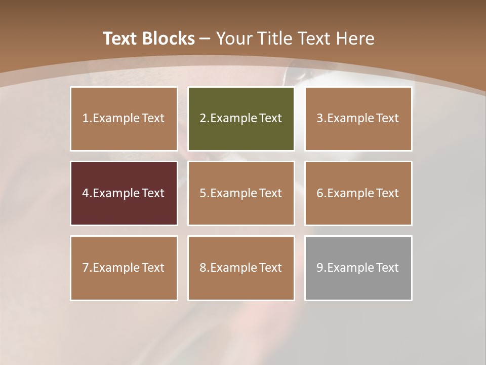 Issue Mirror Checking PowerPoint Template