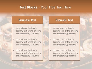Tapas Mushroom Country PowerPoint Template