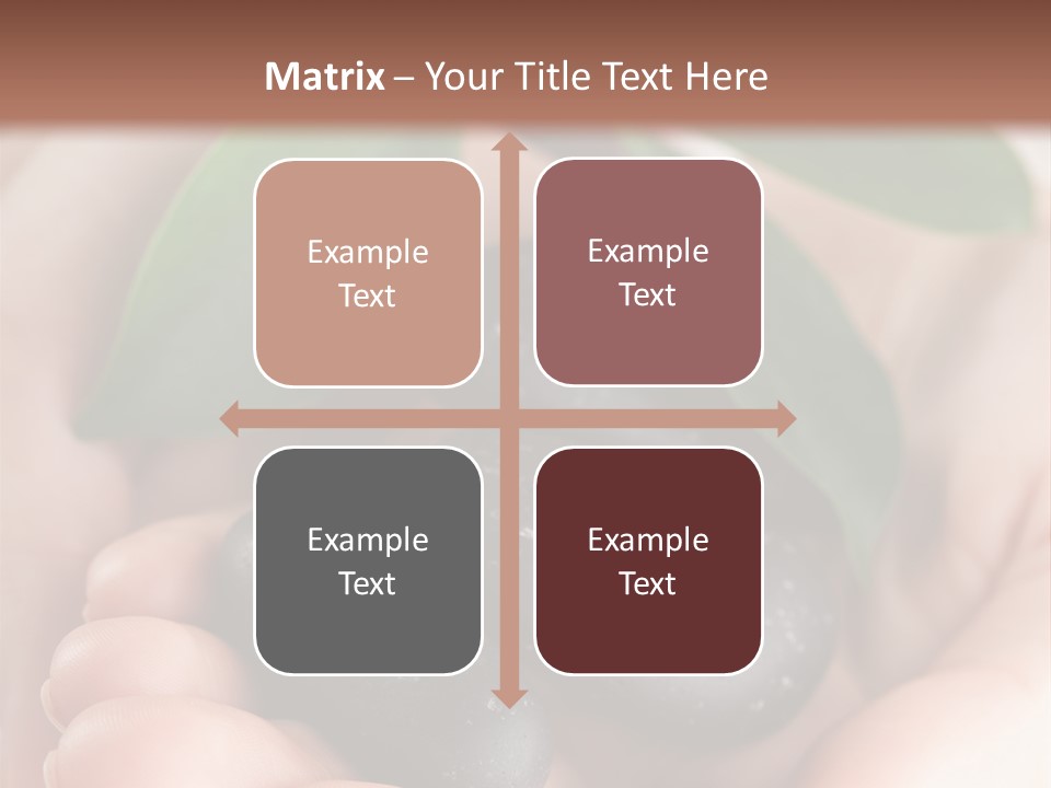 Zen Isolated Peace PowerPoint Template