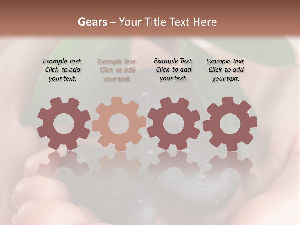 Zen Isolated Peace PowerPoint Template