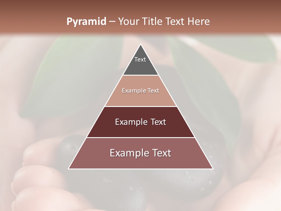 Zen Isolated Peace PowerPoint Template