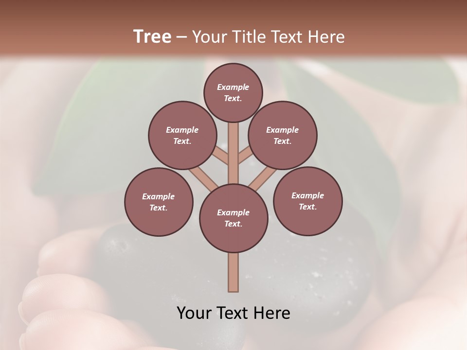 Zen Isolated Peace PowerPoint Template