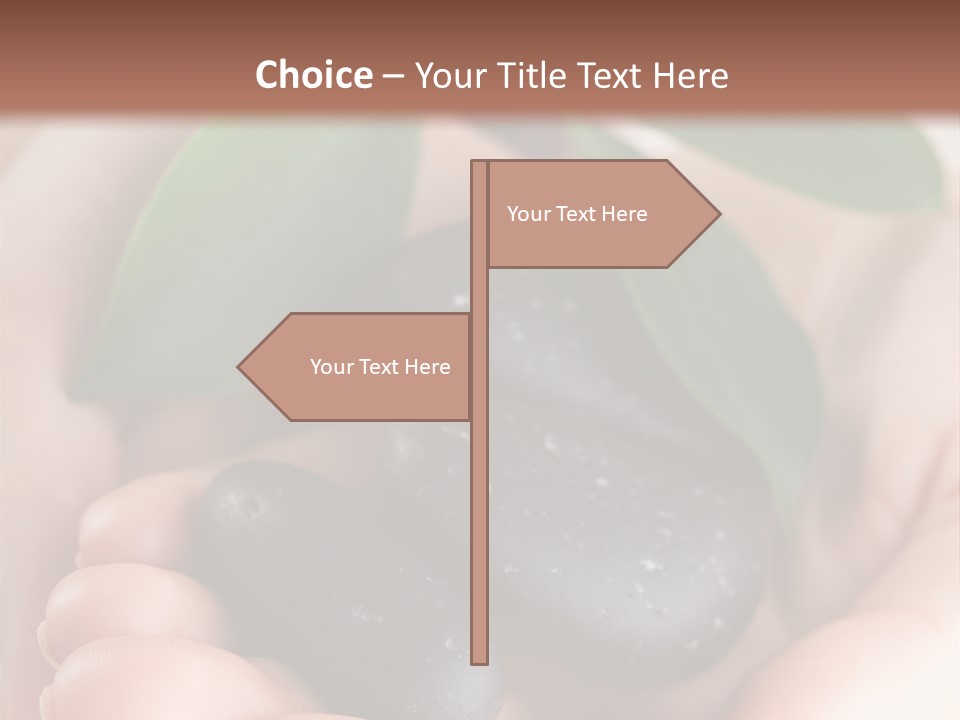 Zen Isolated Peace PowerPoint Template