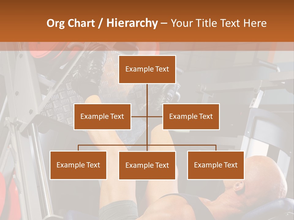 Body Abdomen Leg PowerPoint Template
