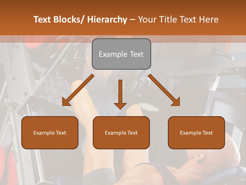 Body Abdomen Leg PowerPoint Template